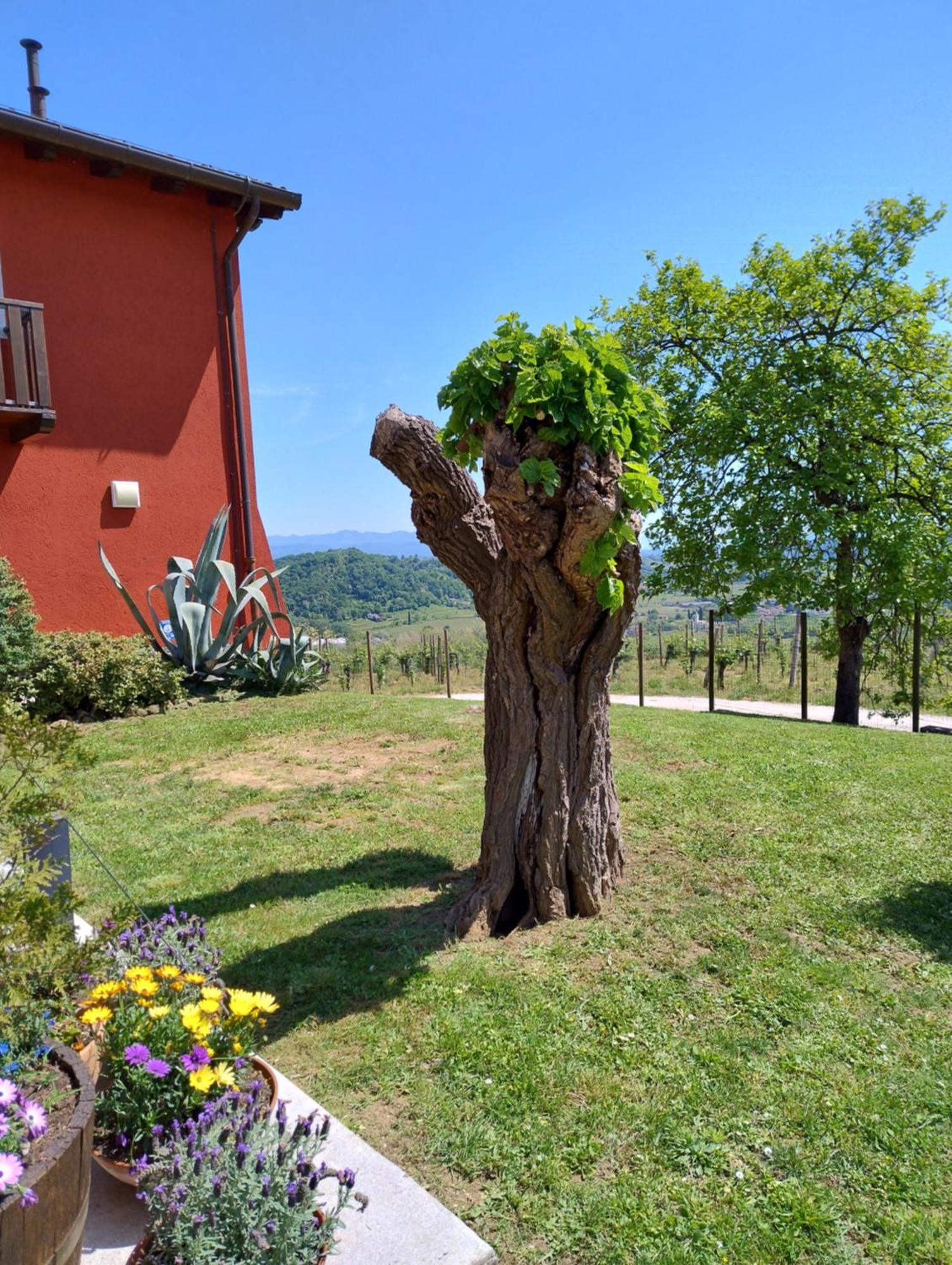Le Badie Wine Resort Rosazzo Εξωτερικό φωτογραφία