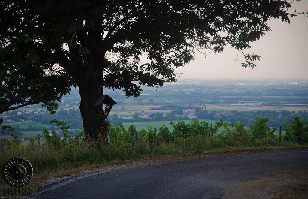 Le Badie Wine Resort Rosazzo Εξωτερικό φωτογραφία