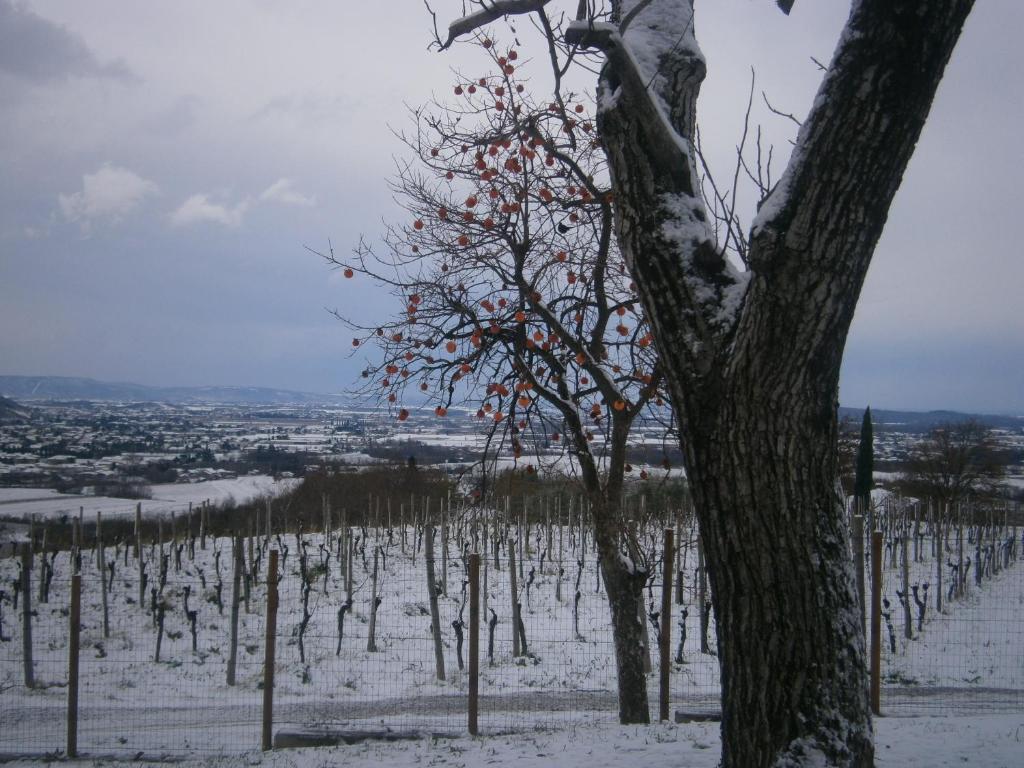 Le Badie Wine Resort Rosazzo Εξωτερικό φωτογραφία